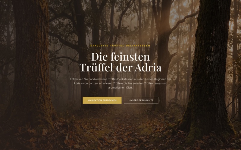 Startseite von tasteadria.ch: «Die feinsten Trüffel der Adria» — dunkler Wald-Hero mit Shop-CTA «Kollektion entdecken»